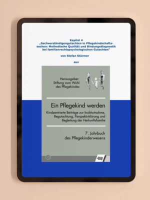 Aufsatz: "Kapitel 04 - 7. Jahrbuch" eBook
